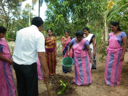 අලුගු අවුරුදු සැමරුම - 2020